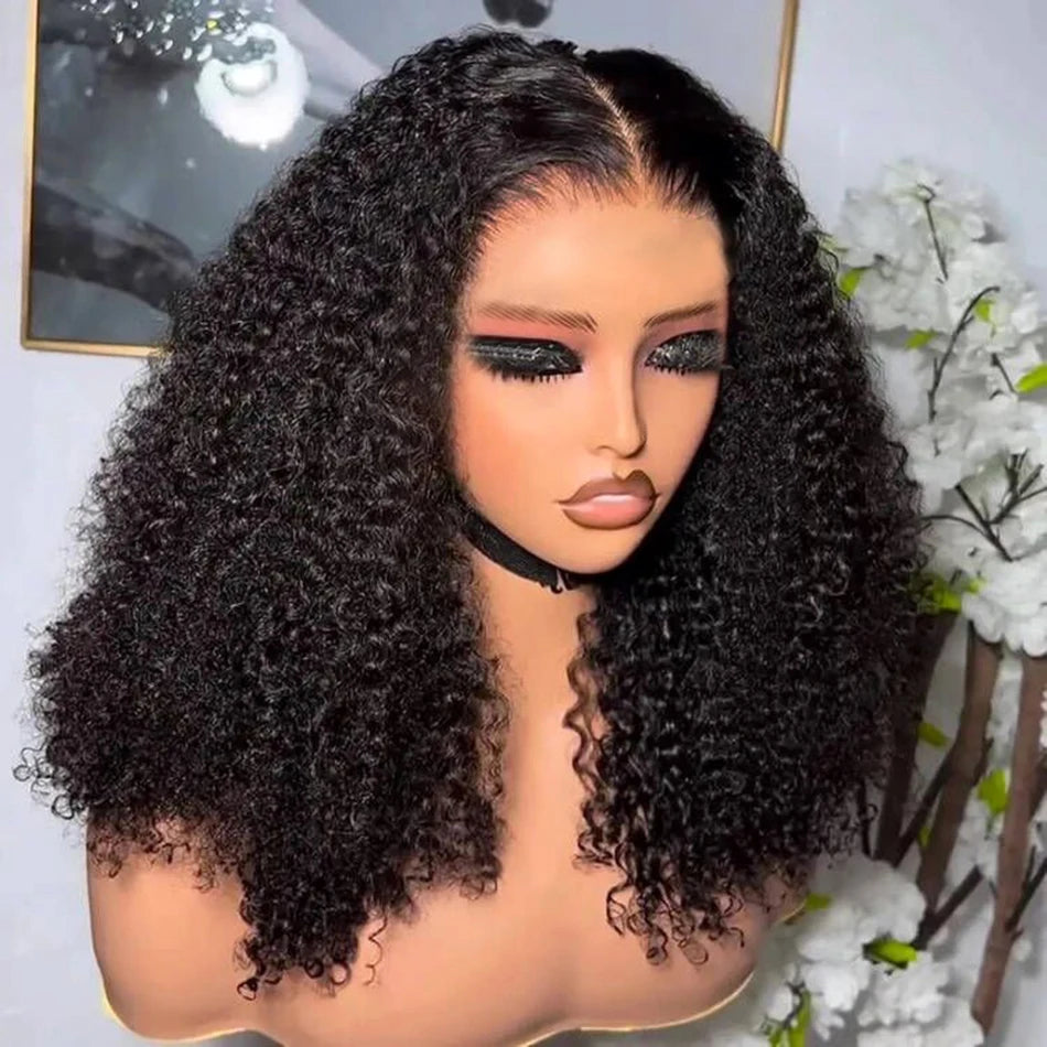 Curly Human Hair Wig